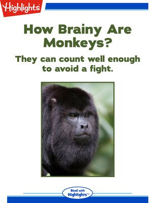 cover image of How Brainy Are Monkeys?